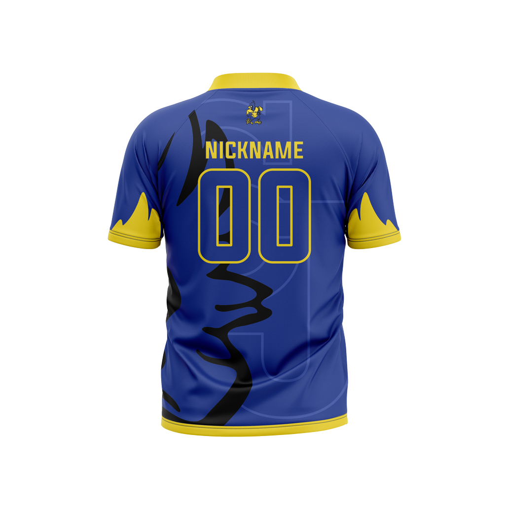 Delphos St Johns Jersey