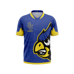 Delphos St Johns Jersey