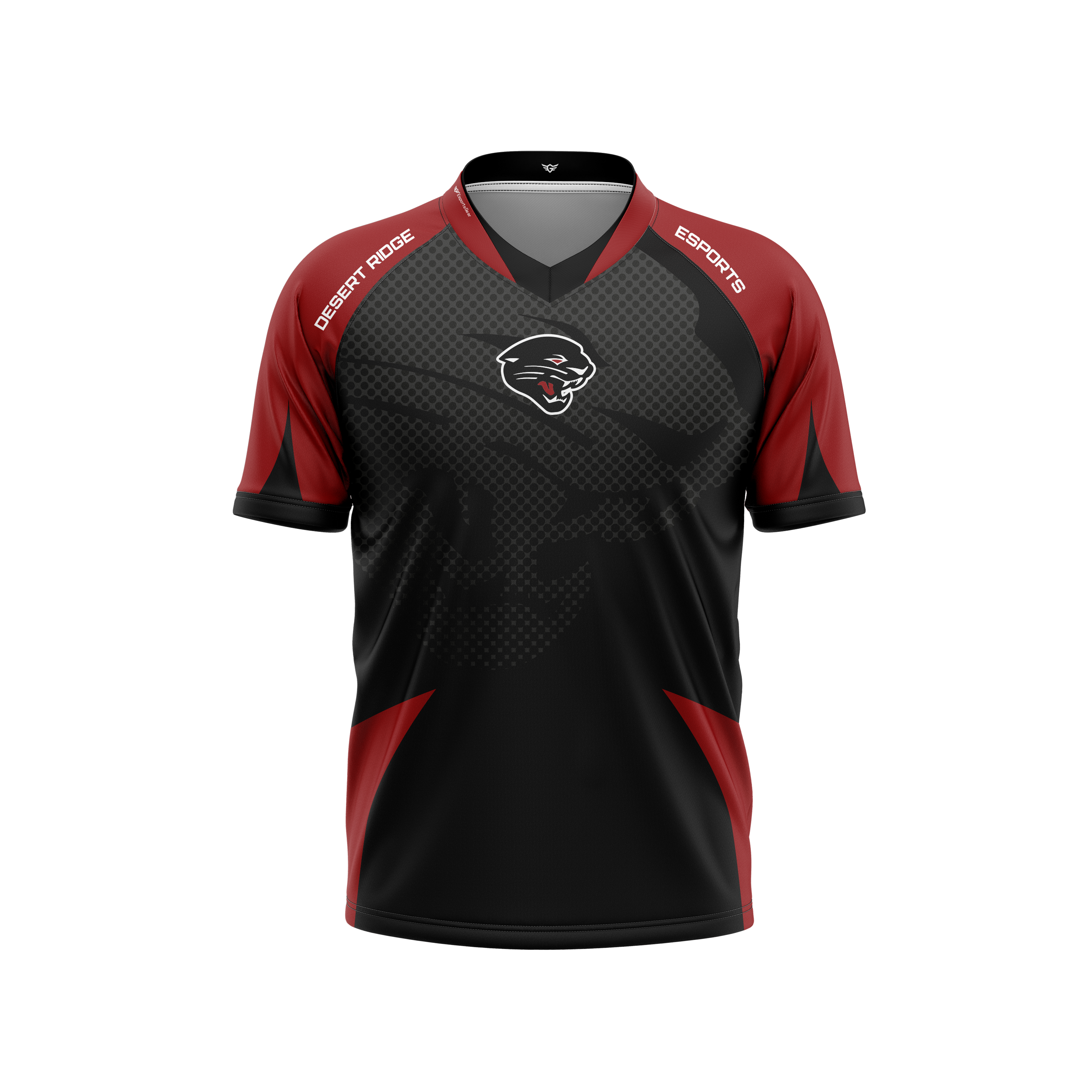 Desert Ridge Esports Jersey