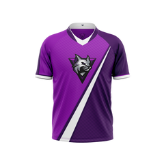Duluth High School Jersey