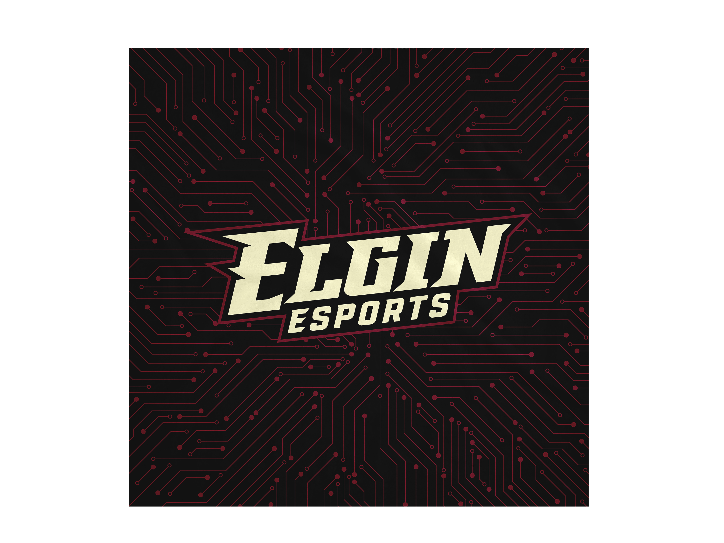 Elgin High School Blanket