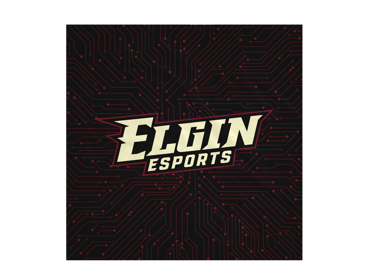 Elgin High School Blanket