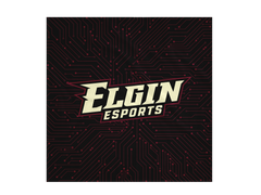 Elgin High School Blanket