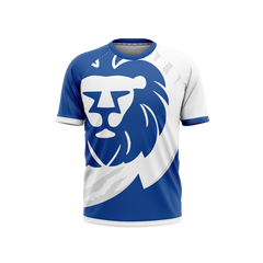 Elmwood Middle School | Raglan T-Shirt