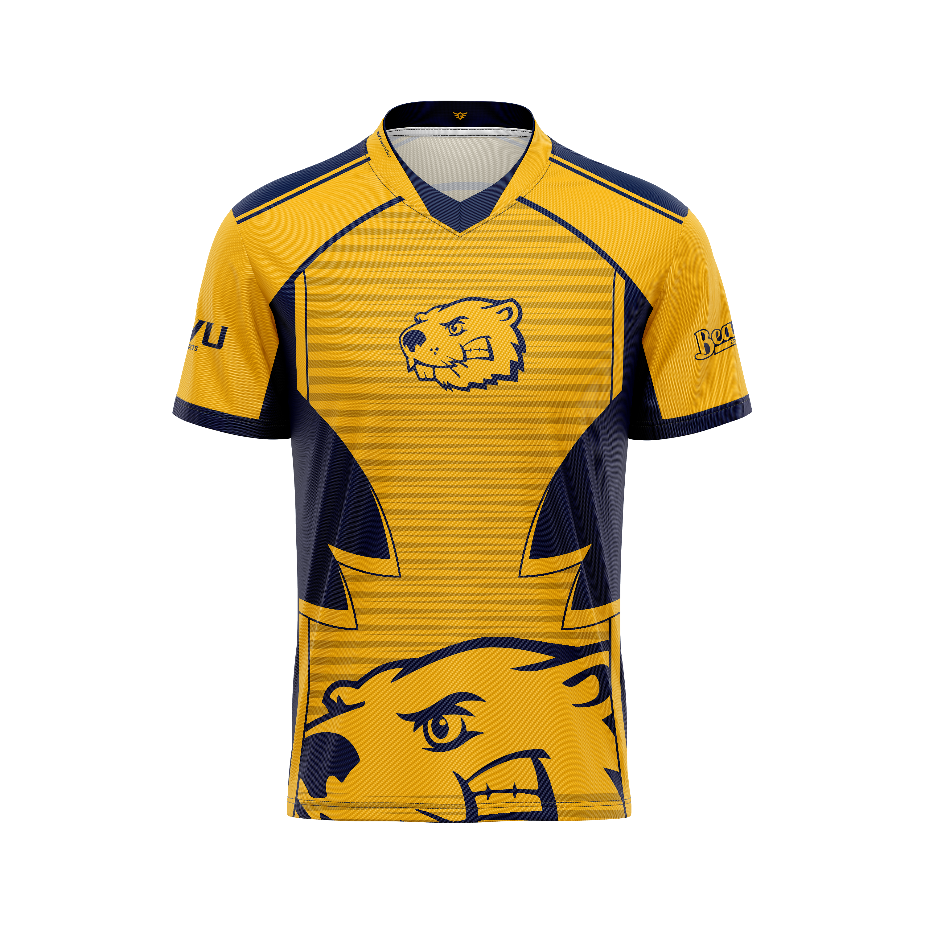 BVU Esports Alt Jersey