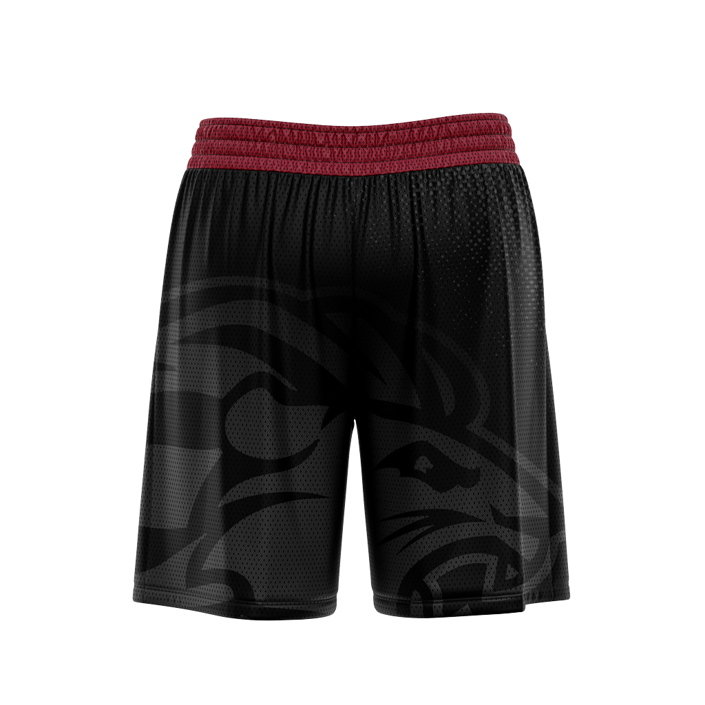 Hebron Christian Academy | Shorts