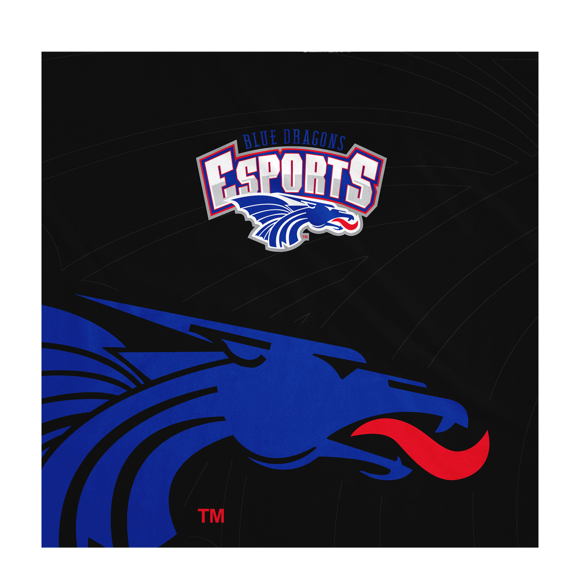 Hutchinson Esports | Black Blankets