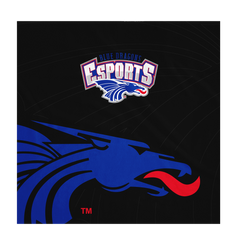 Hutchinson Esports | Black Blankets