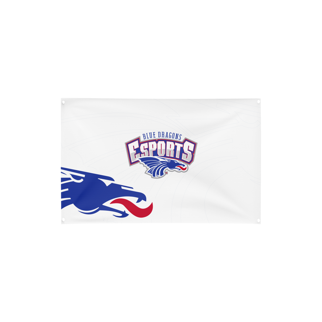 Hutchinson Esports | Immortal Series | Flag