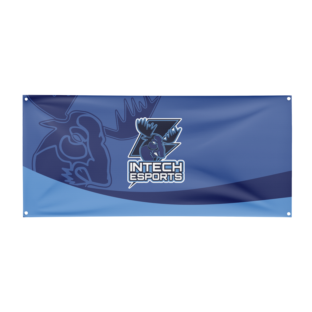 Intech Collegiate Academy Flag