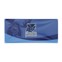 Intech Collegiate Academy Flag