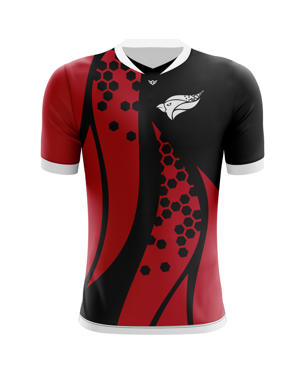 North Central College Alternate Jersey