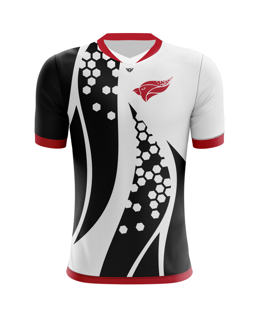 North Central College Jersey