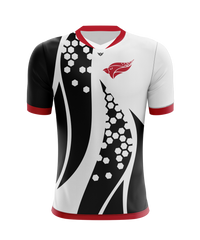 North Central College Jersey