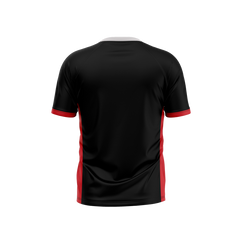 Nixa Junior High School | Raglan T-Shirt