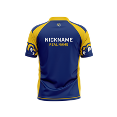 Northeast Iowa Community College | Immortal Series | Jersey