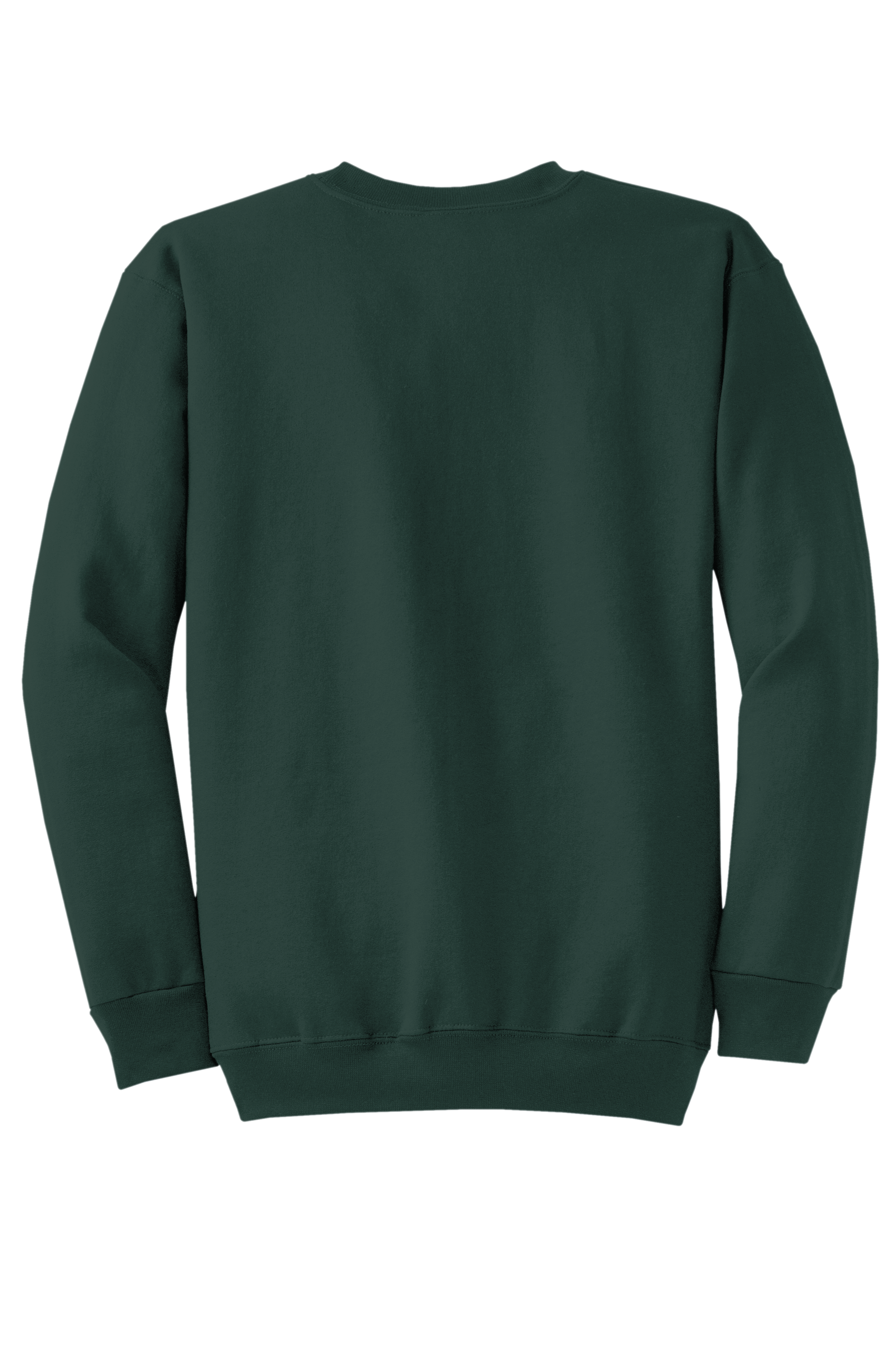 Custom Crewneck Sweatshirt - DTF Print