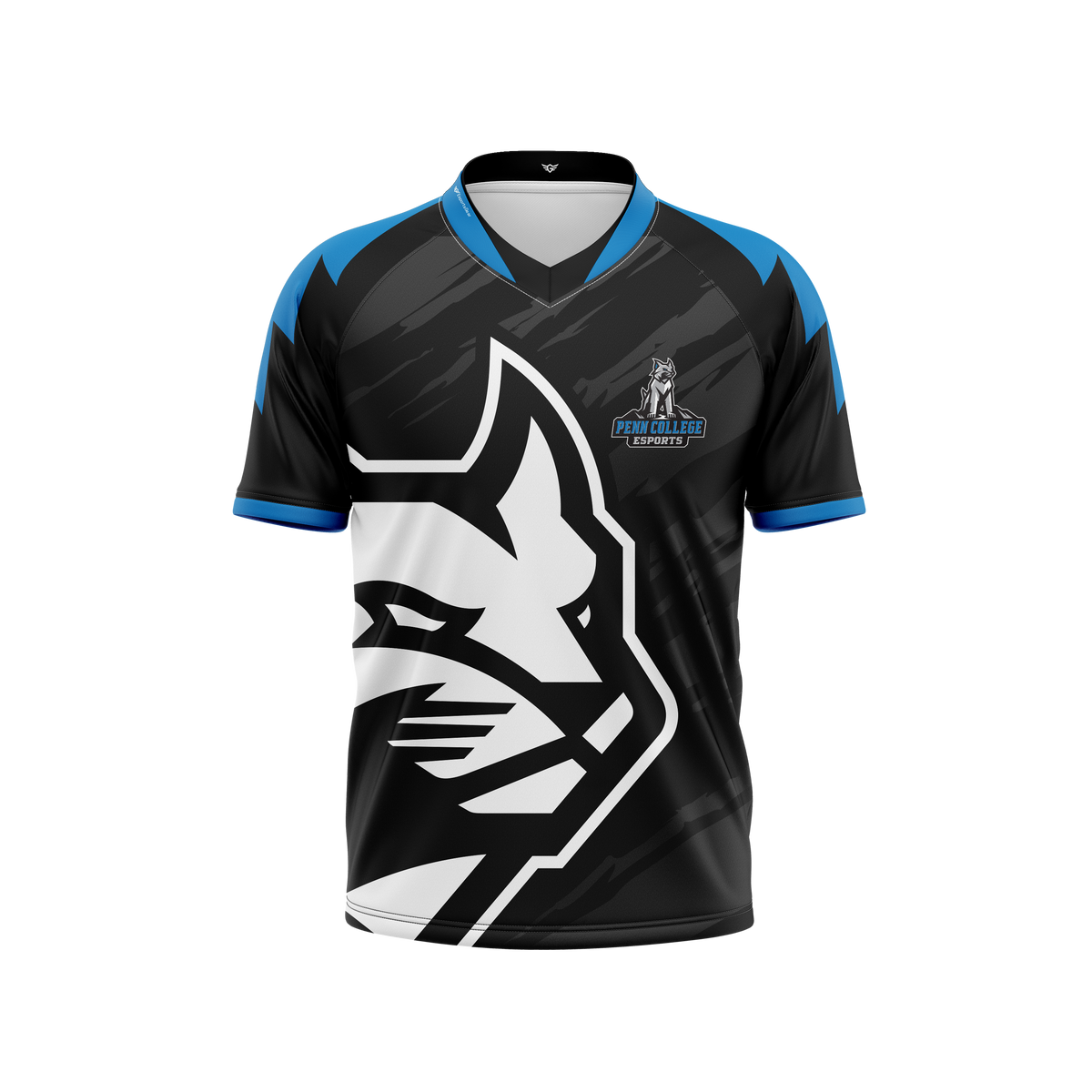 Penn College Academy Team | Jersey