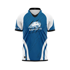 Pratt Community College | 2025 Jersey Alt