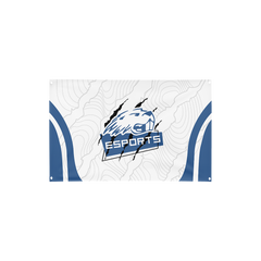 Pratt Community College | Flag