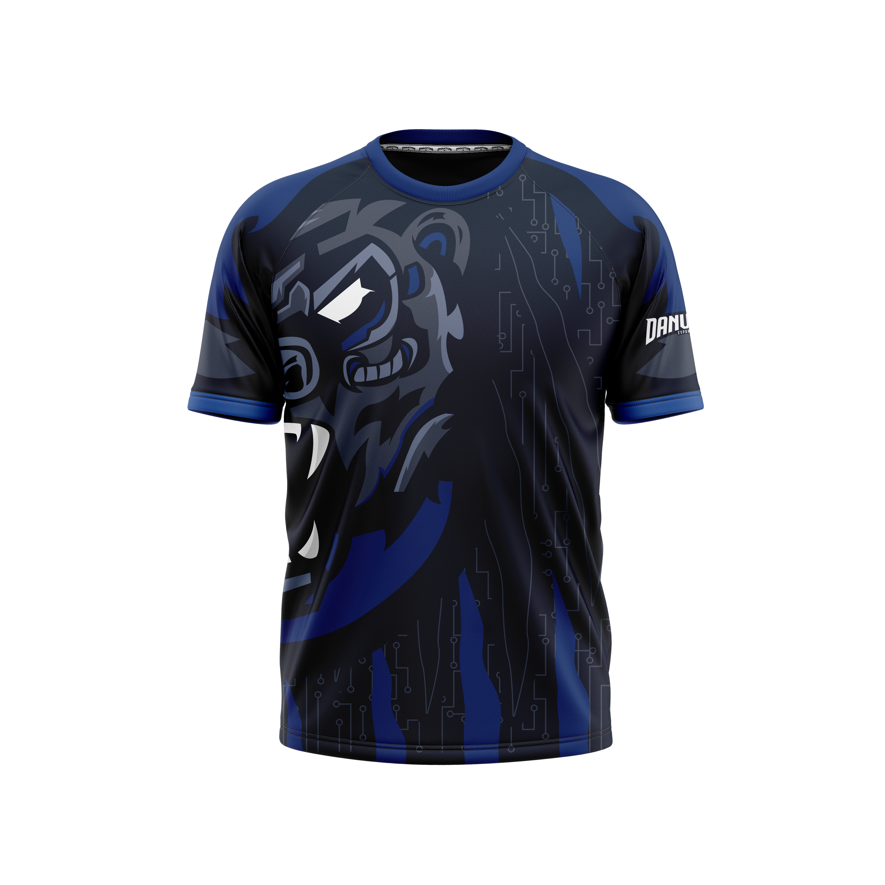 Danville Schools | Phantom Series | Raglan T-Shirt