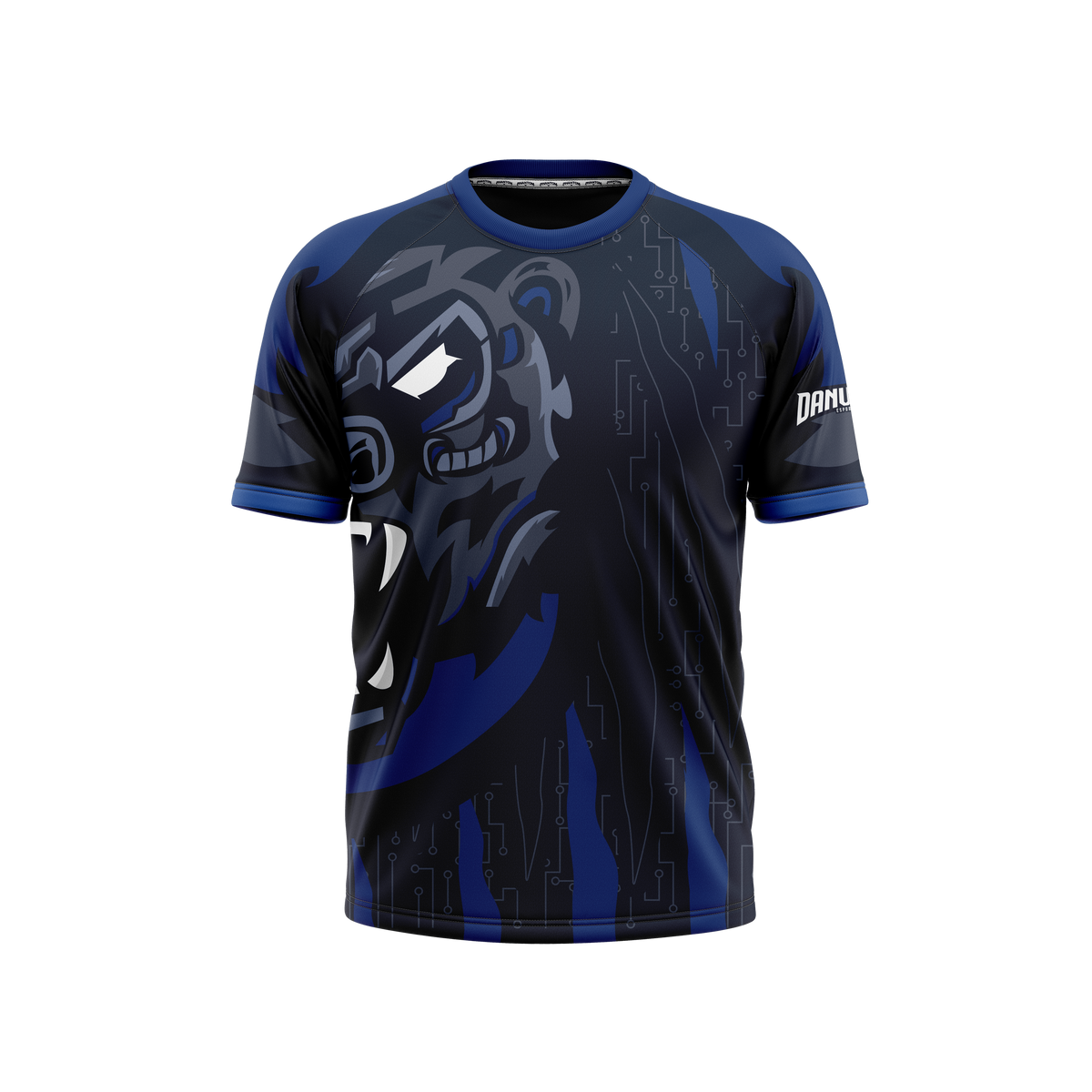 Danville Schools | Phantom Series | Raglan T-Shirt