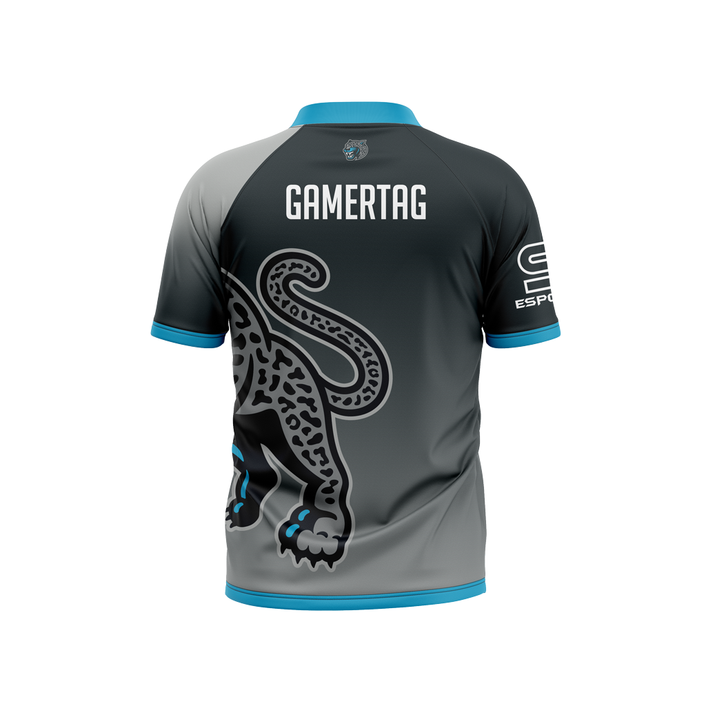 Seckinger High School | Alt Jersey