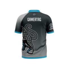Seckinger High School | Alt Jersey