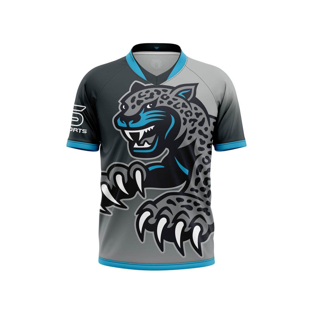 Seckinger High School | Alt Jersey