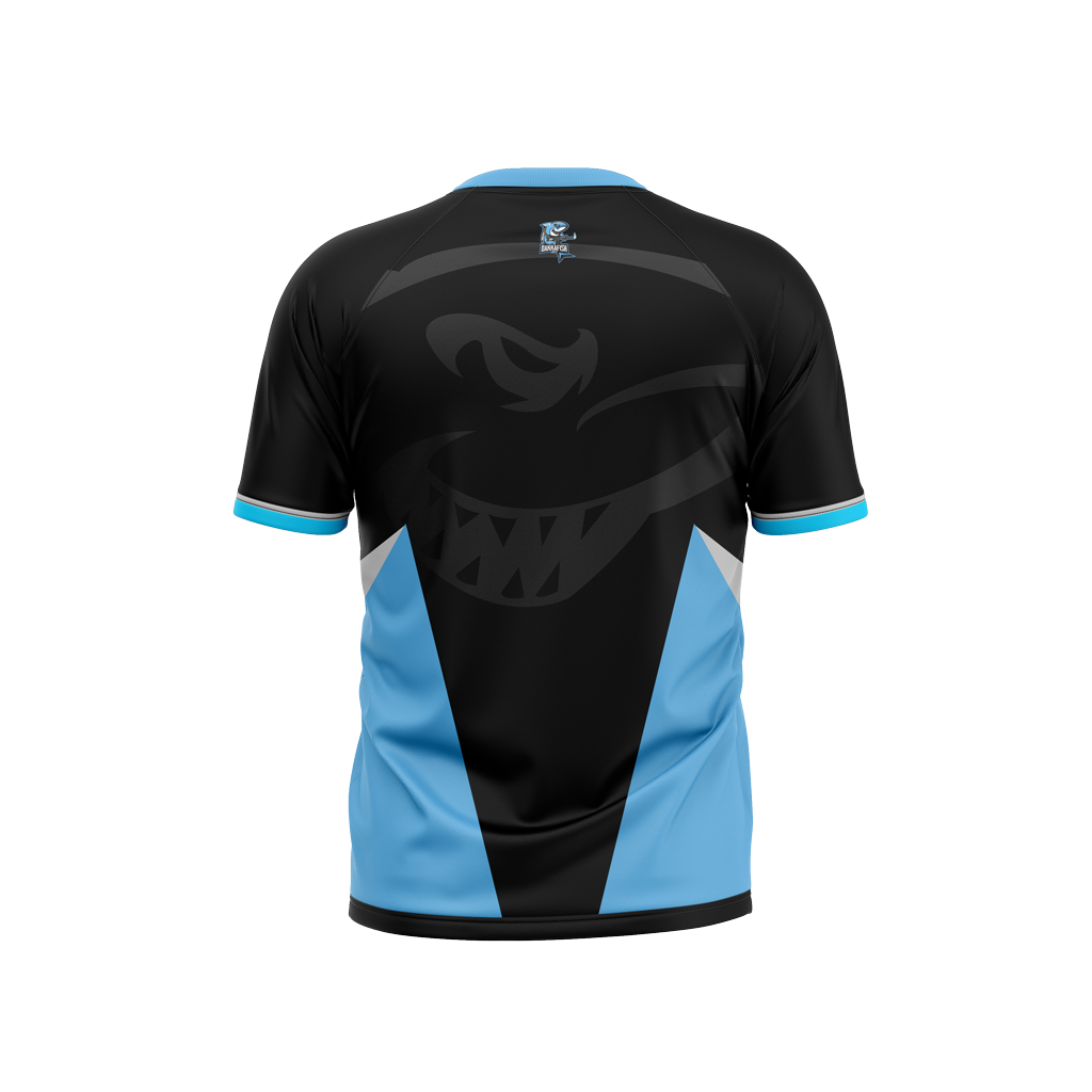 Team Dakkafish Gaming | Raglan T-Shirt