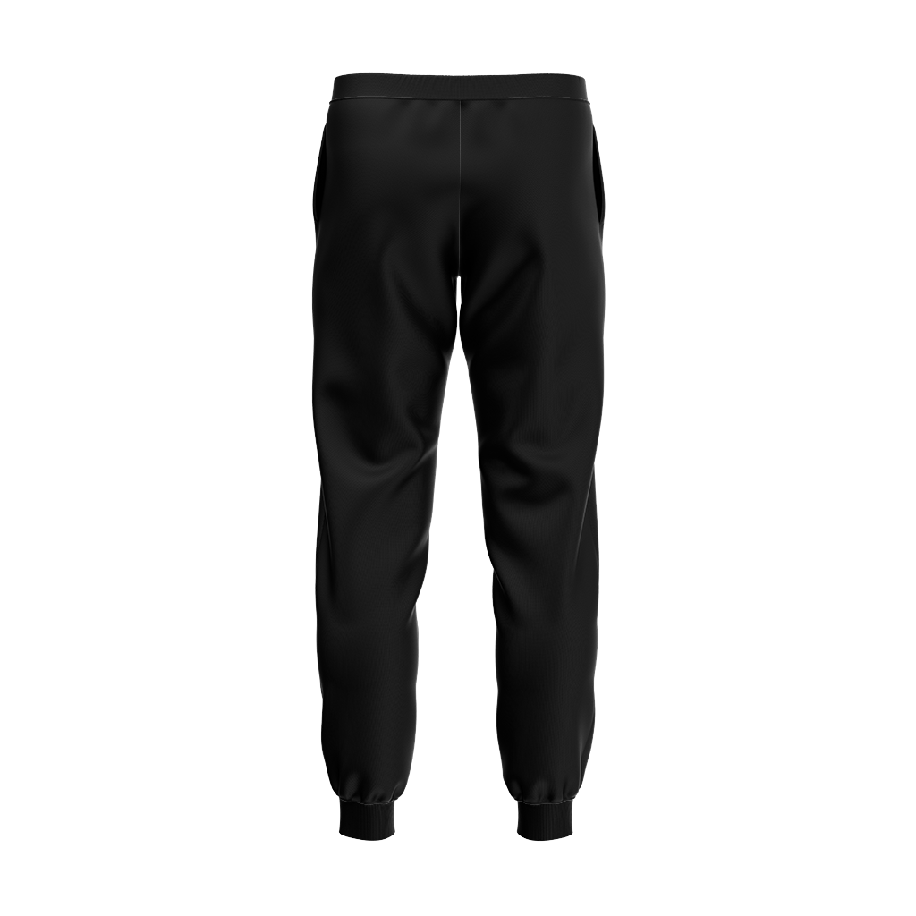 University at Albany | Joggers