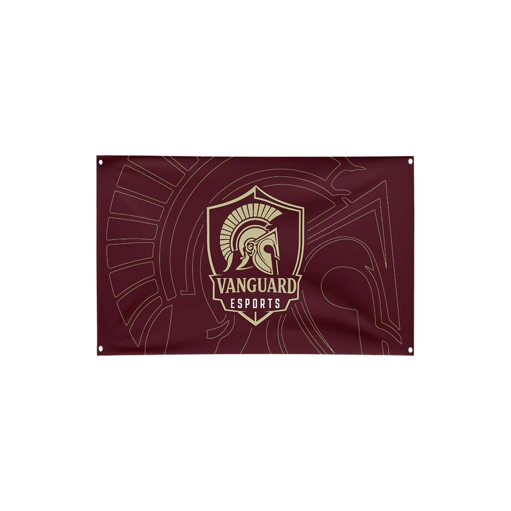 Vanguard Esports | Flag