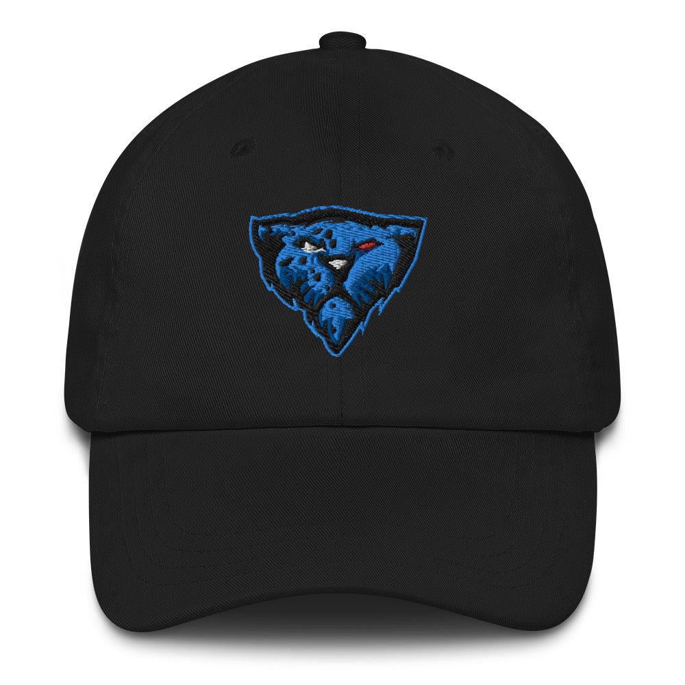 Hilliard Cybercats | Street Wear | Dad hat