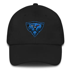 Hilliard Cybercats | Street Wear | Dad hat
