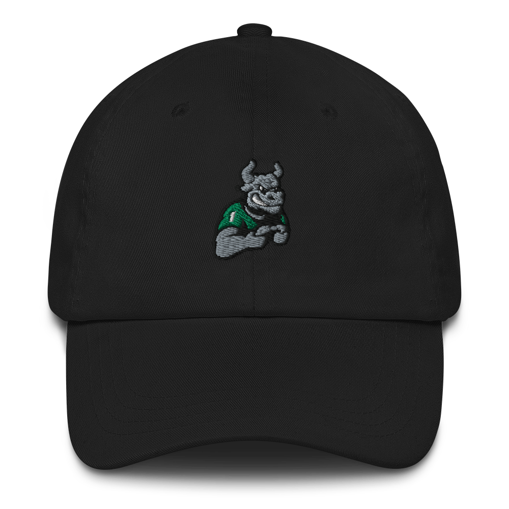 USF Esports | Street Gear | Embroidered Dad hat