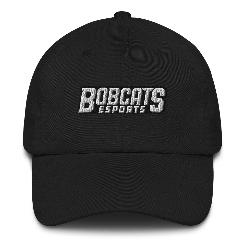 Bryant Stratton Rochester | On Demand | Embroidered Dad hat