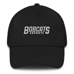 Bryant Stratton Rochester | On Demand | Embroidered Dad hat