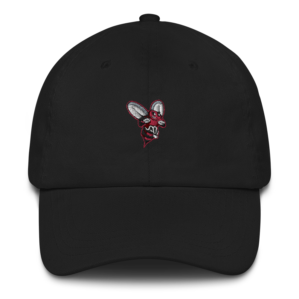Baldwinsville Central School District | On Demand | Embroidered Dad hat