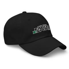 Lake Shore High School | On Demand | Embroidered Dad Hat