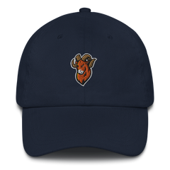 Upper Sandusky | On Demand | Embroidered Dad hat