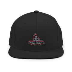 Christian Fellowship Esports | Street Gear | Embroidered Snapback Hat