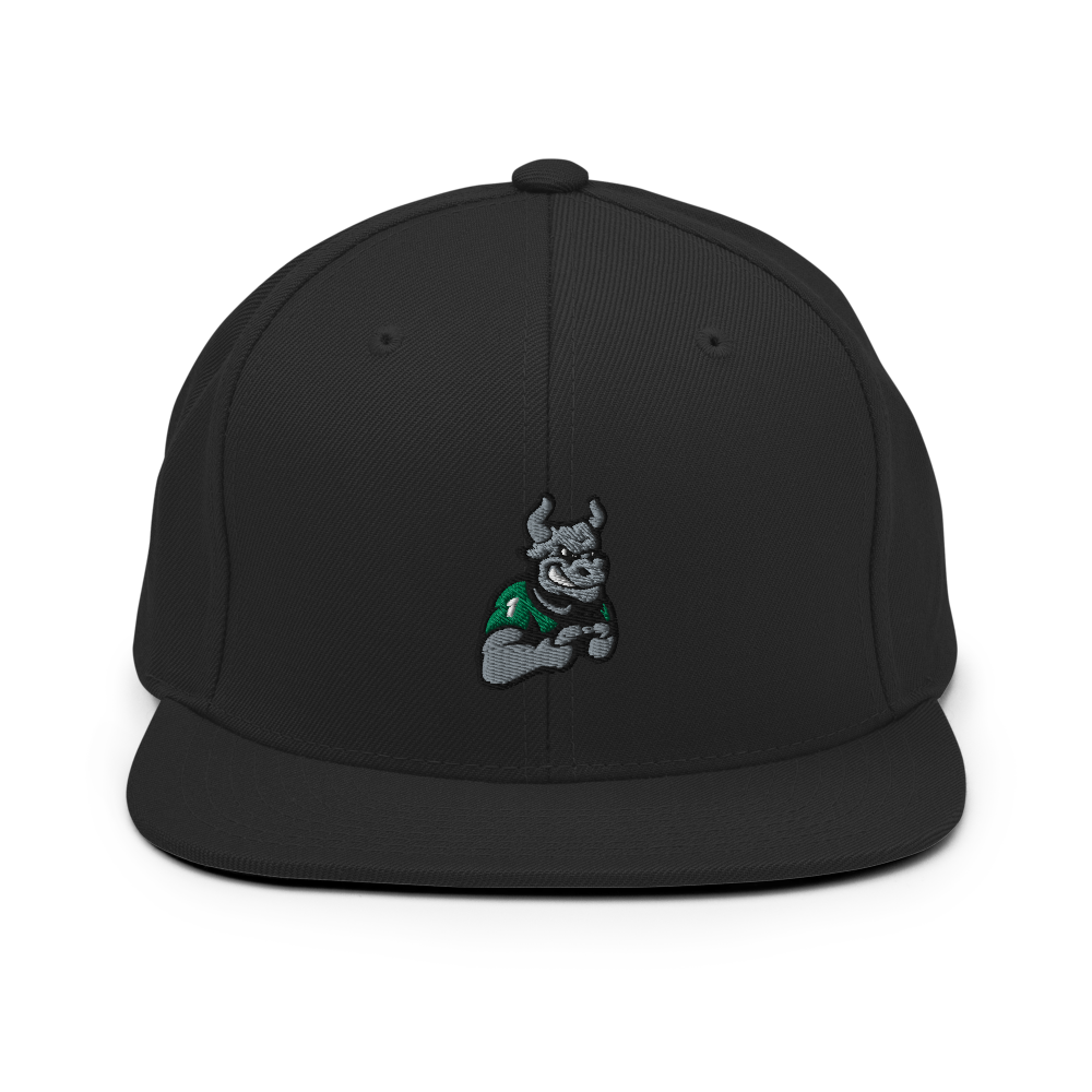 USF Esports | Street Gear | Embroidered Snapback Hat