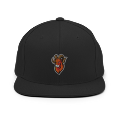 Upper Sandusky | On Demand | Embroidered Snapback Hat