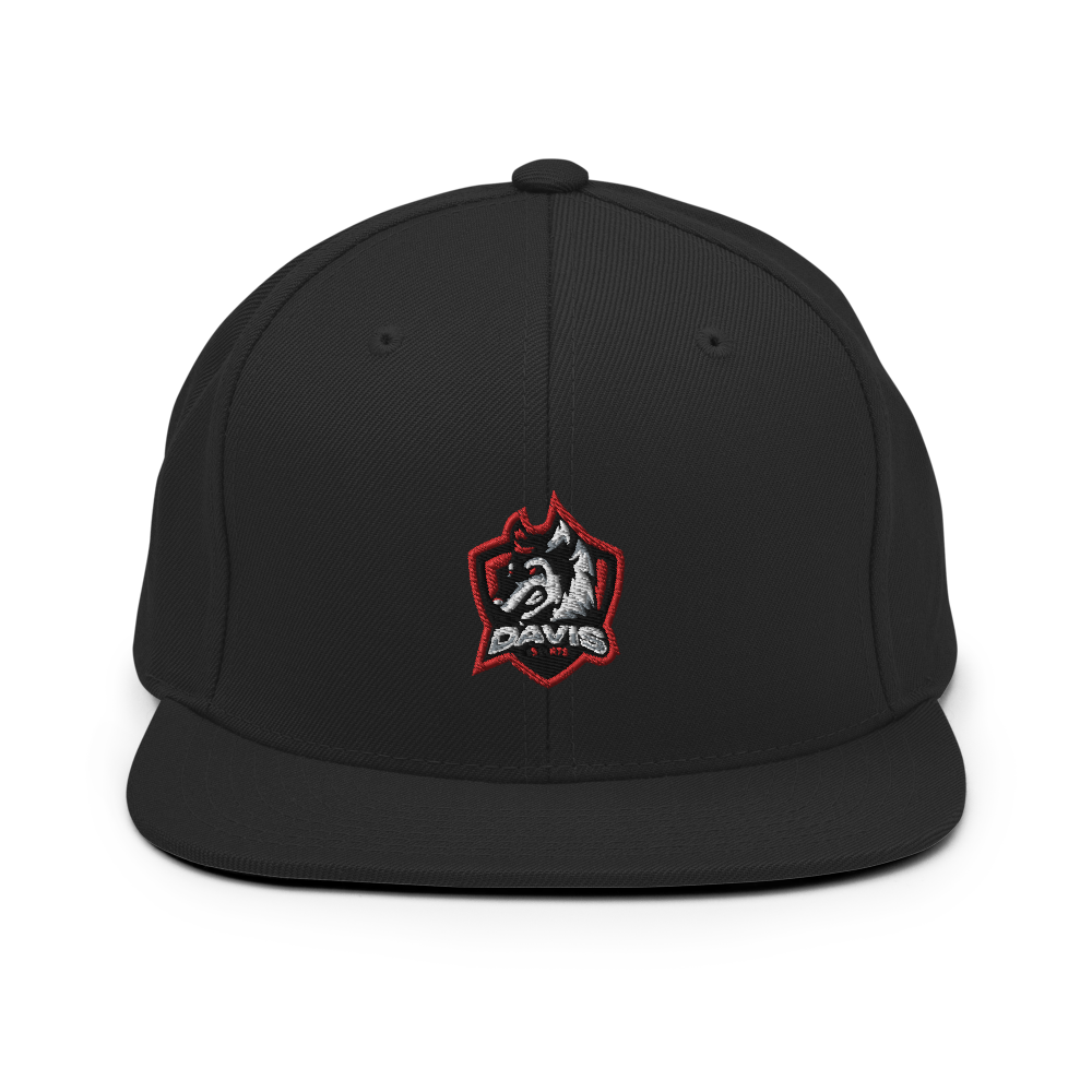 Davis Public Schools | On Demand | Embroidered Snapback Hat