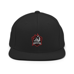 Davis Public Schools | On Demand | Embroidered Snapback Hat