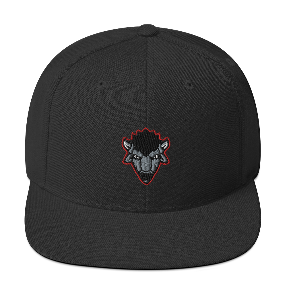Bison Esports | On Demand | Embroidered Snapback Hat