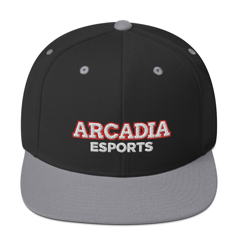 Arcadia Knights Esports | Street Gear | [Embroidered] Snapback Hat