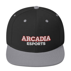 Arcadia Knights Esports | Street Gear | [Embroidered] Snapback Hat
