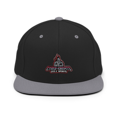 Christian Fellowship Esports | Street Gear | Embroidered Snapback Hat