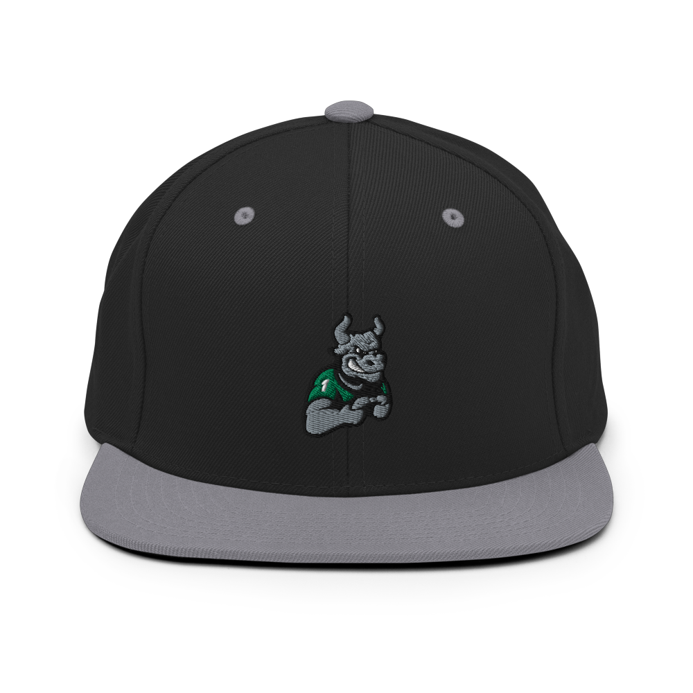 USF Esports | Street Gear | Embroidered Snapback Hat